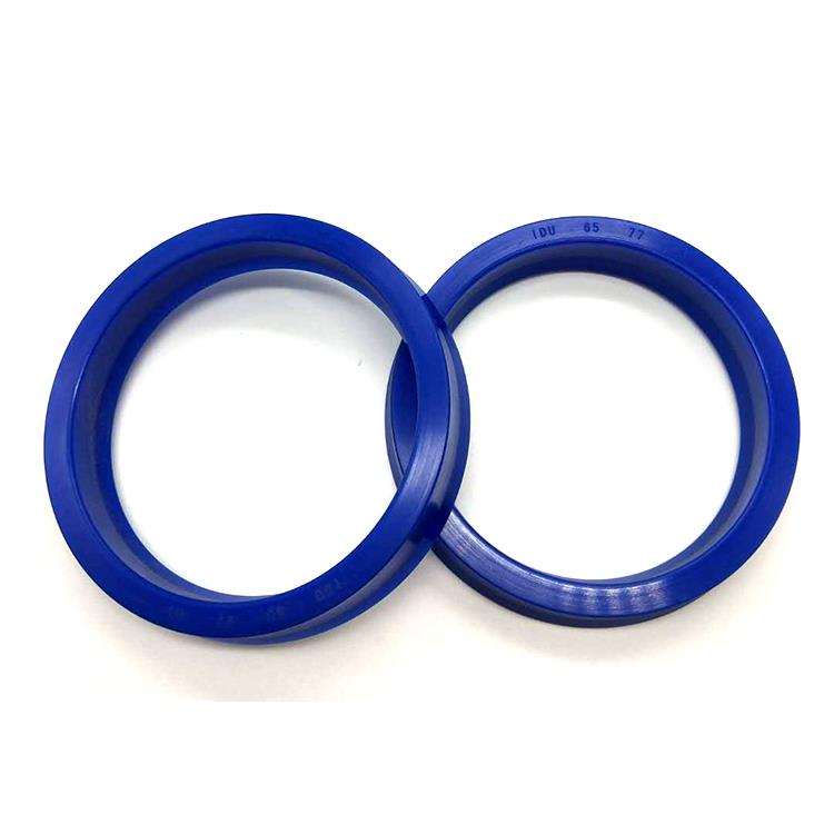 IDU piston seal (7).jpg