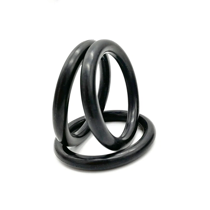 HNBR O Ring 24*3.1mm