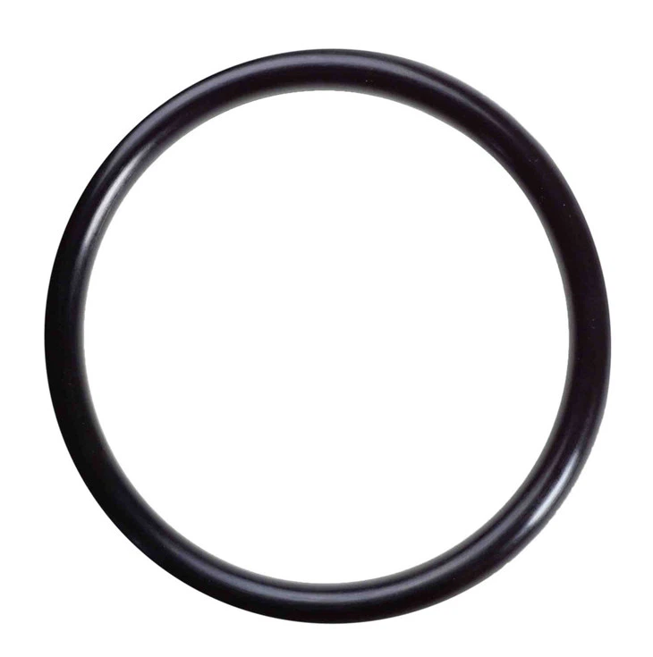 O-Ring For All Big Black Filter Housing