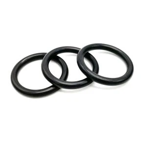 HNBR O Ring 24*3.1mm
