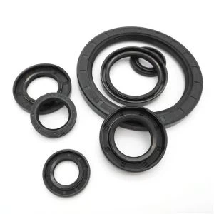 TC Standard Rotary Shaft Oil Seals