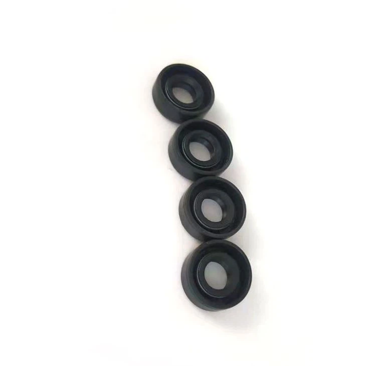 Double Lip Garter Spring Oil Seal