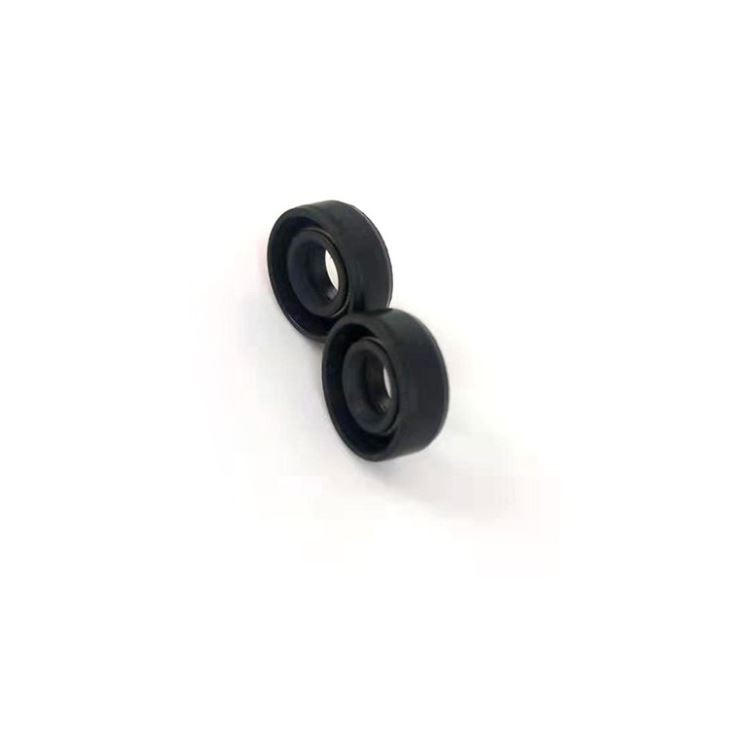 Double Lip Garter Spring Oil Seal