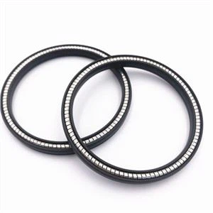 PTFE Spring Energized Seal