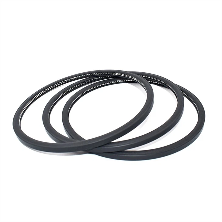 Hydraulic PTFE Spring Energized Seals