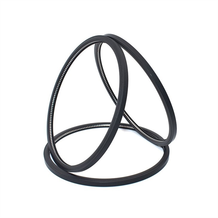 Hydraulic PTFE Spring Energized Seals