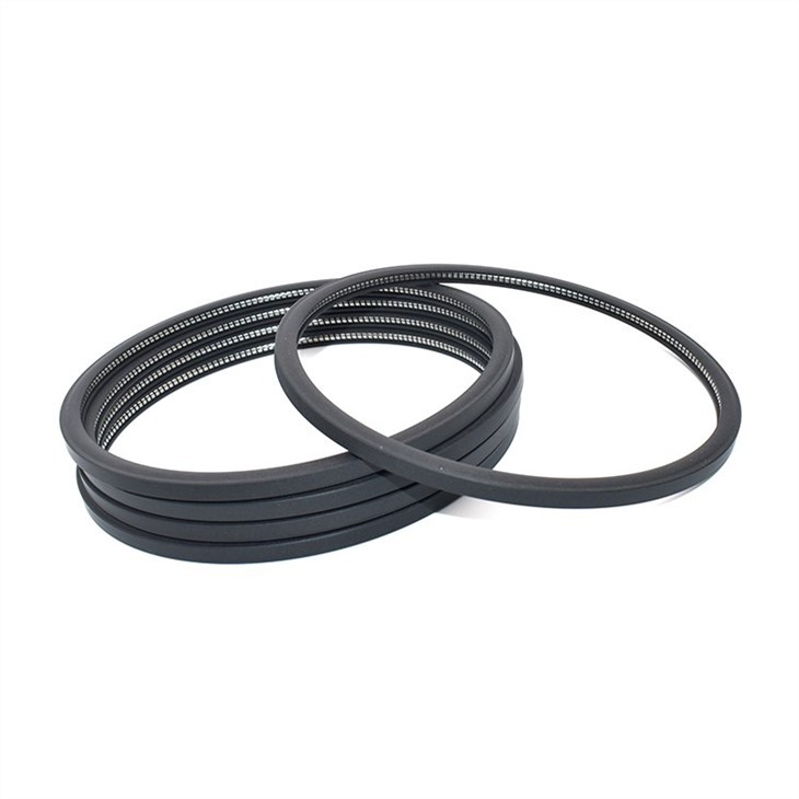 Hydraulic PTFE Spring Energized Seals