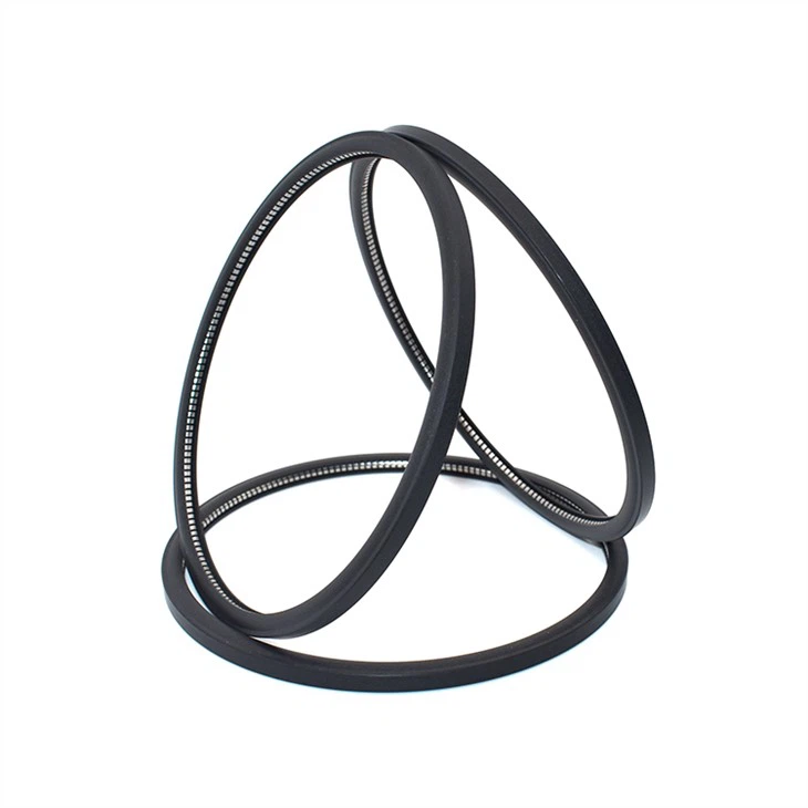 Spring Energized PTFE Seals