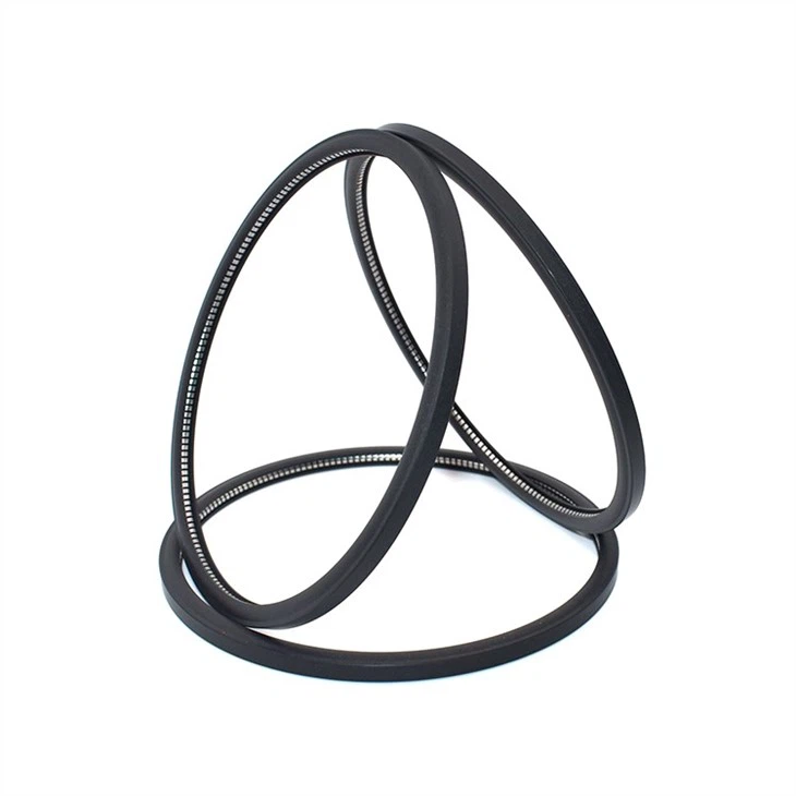 Spring Energized PTFE Seals
