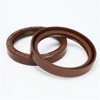 TC Double Lip FKM Rotary Shaft Oil Seal With Garter Spring